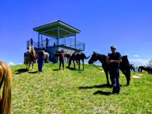 Outpost 1 Meeting and Work Day @ Old Meadow Creek Fire Tower
