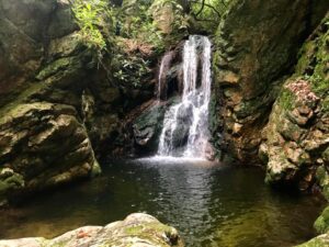 Dick Creek Falls Trail Ride @ Limestone Cove Recreation Area