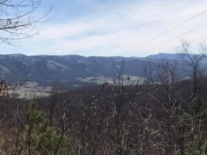 Hinkle Branch Meeting and Ride @ Hinkle Branch Trailhead