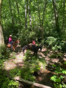 Outpost 1 Davis Creek Workday and Meeting @ Horse Creek Area (Shelton Mission Road)