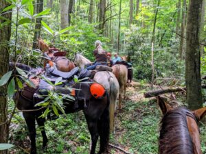 Outpost 1 Workday on Davis Creek Trail @ Horse Creek Area (Shelton Mission Road)