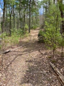 BCHET Ride at Forge Mountain Trails, LLC @ Forge Mountain Trails, LLC